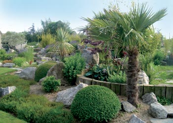 Le Jardin Bosselé